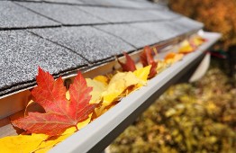 Leaves in a Gutter - Leaf Removal